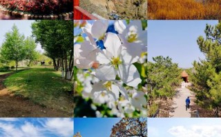 乌素图公园能自驾进去吗？