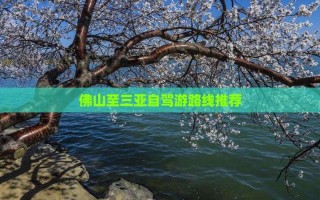 佛山到三亚自驾游线路怎么规划？