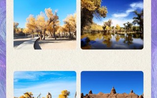 冬天额济纳旗 旅游攻略