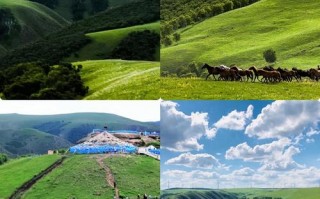 辉腾锡勒草原自驾怎么玩才尽兴？