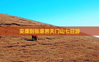 安康到张家界自驾游攻略