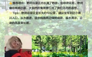 六盘山森林公园怎么玩？攻略有哪些必打卡？