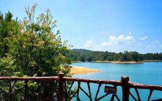 万绿湖 农家乐自驾游