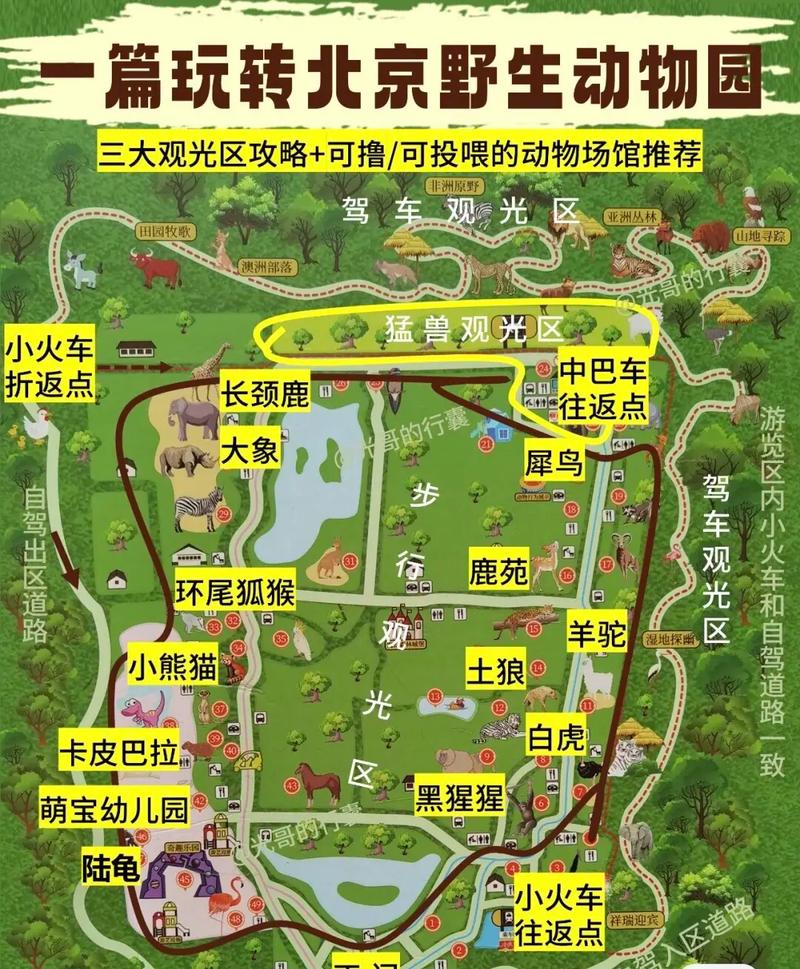 北京野生动物园自驾游门票多少钱？-第2张图片-星月文旅