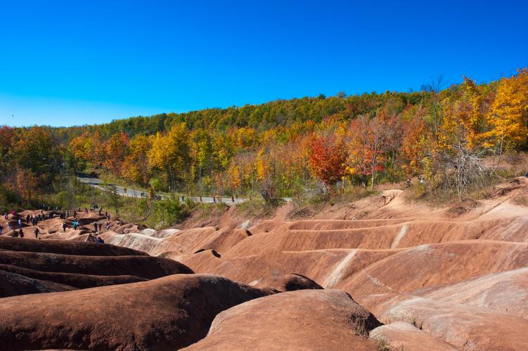 cheltenham旅游攻略-第2张图片-星月文旅