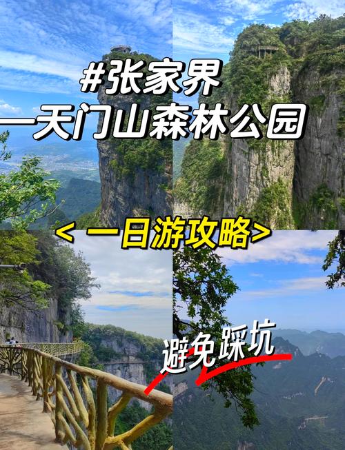 张家界必玩景点有哪些？-第2张图片-星月文旅