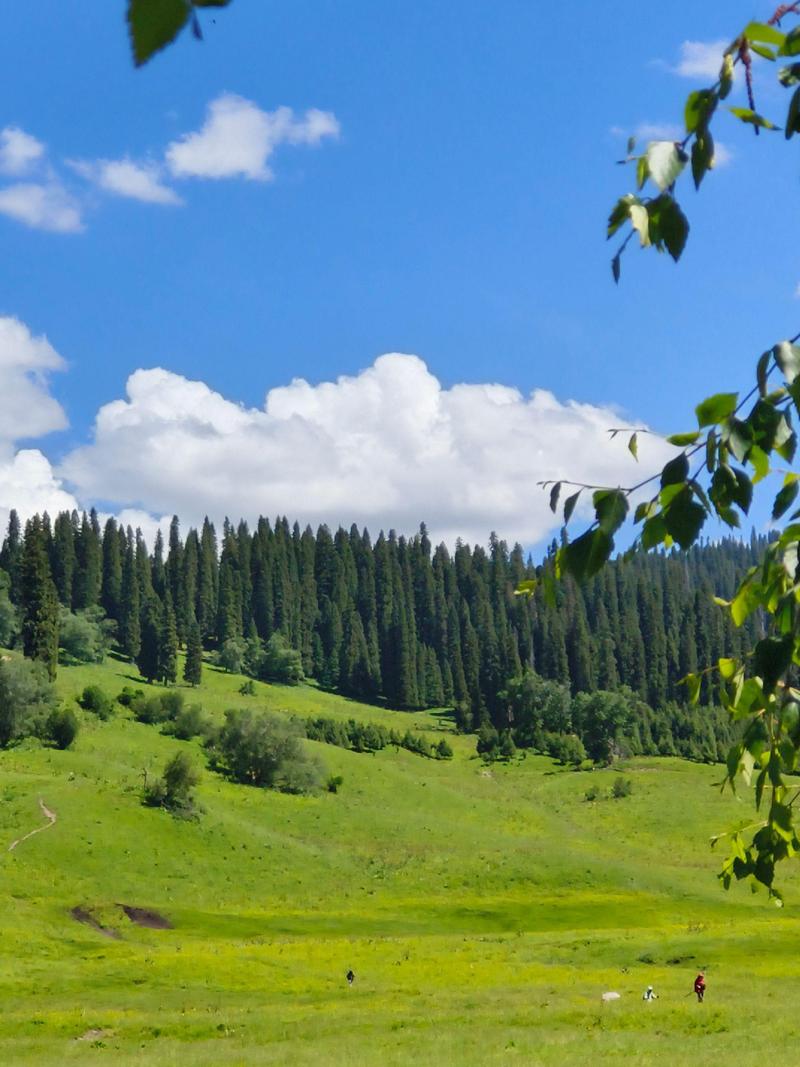 伊犁旅游景点有哪些？-第1张图片-星月文旅