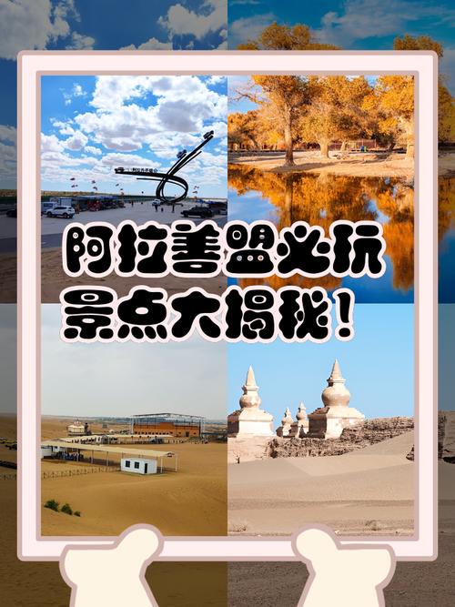 阿拉善右旗必玩景点有哪些？-第3张图片-星月文旅