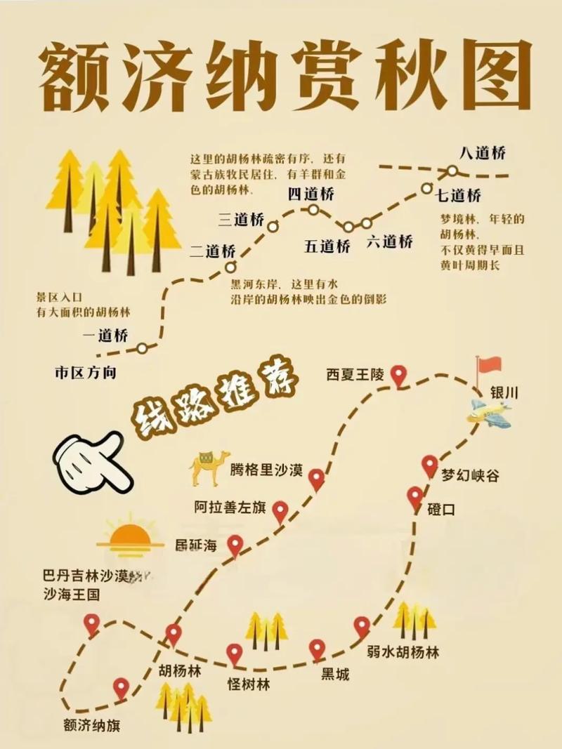 额济纳胡杨林怎么玩？攻略必看景点有哪些？-第3张图片-星月文旅