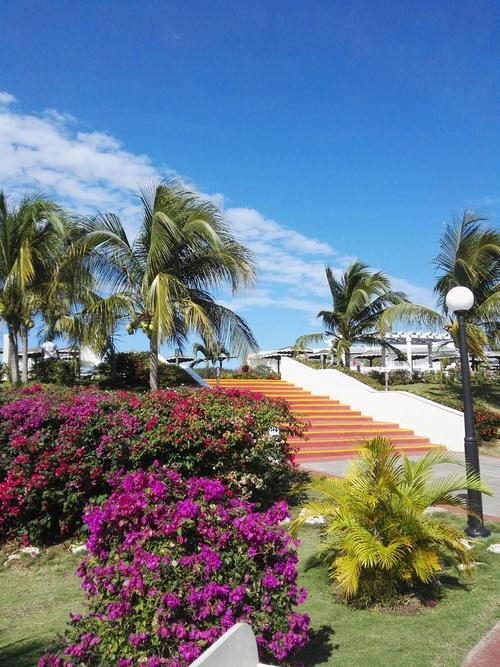 Cayo Coco怎么玩？必去景点+美食攻略？-第2张图片-星月文旅