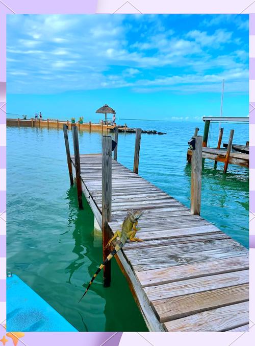 Key Largo怎么玩？最全攻略在这！-第1张图片-星月文旅