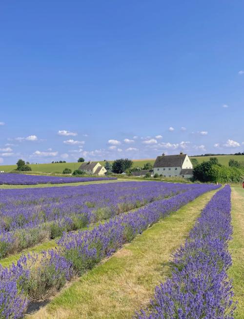 Cotswolds旅游攻略-第3张图片-星月文旅