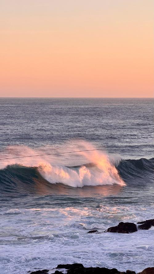 mosselbay旅游攻略-第2张图片-星月文旅