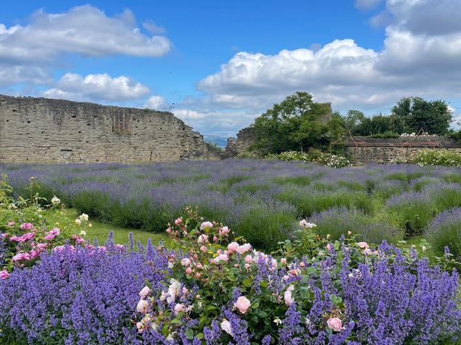 Sheffield旅游怎么玩最地道?-第1张图片-星月文旅 Sheffield旅游怎么玩最地道?-第1张图片-星月文旅