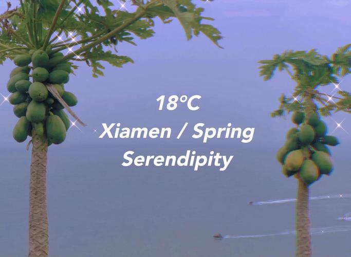 昆明到广西北海自驾游攻略-第1张图片-星月文旅