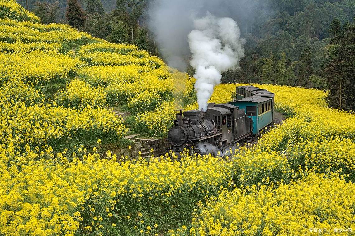 乐山嘉阳小火车自驾游怎么玩最省心？-第2张图片-星月文旅