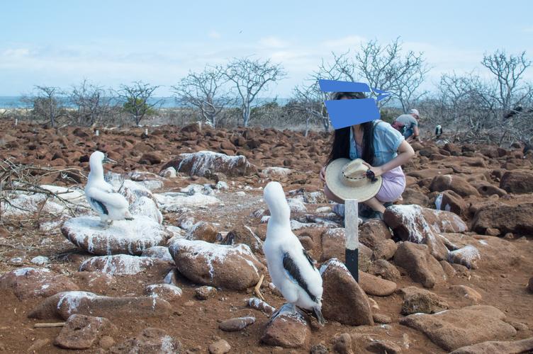 galapagos旅游攻略-第1张图片-星月文旅