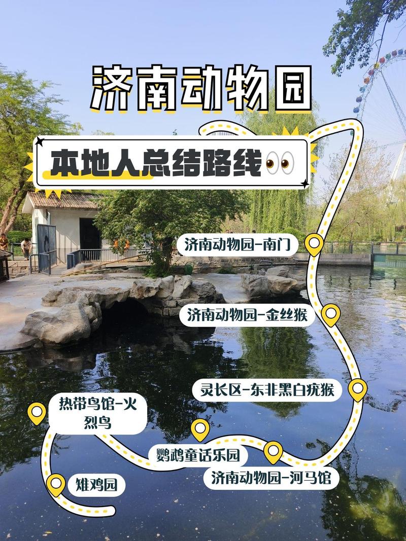 济南野生动物园自驾游攻略，自驾路线怎么选最省时？-第2张图片-星月文旅