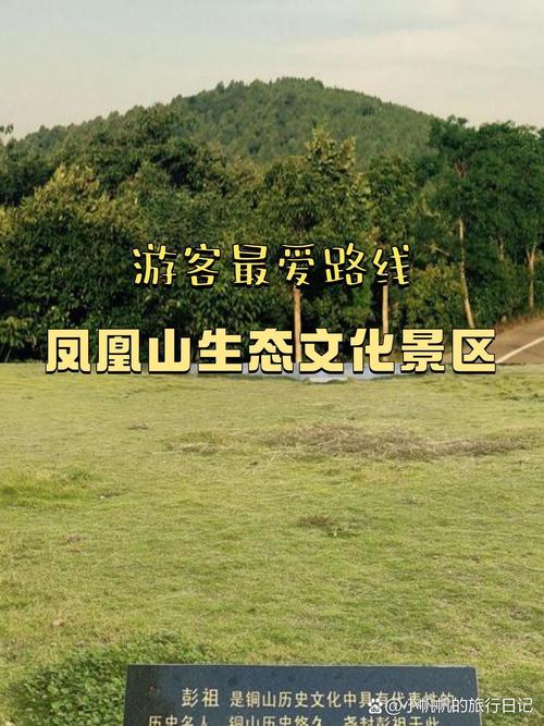 宁波凤凰山景区怎么玩最尽兴？-第2张图片-星月文旅