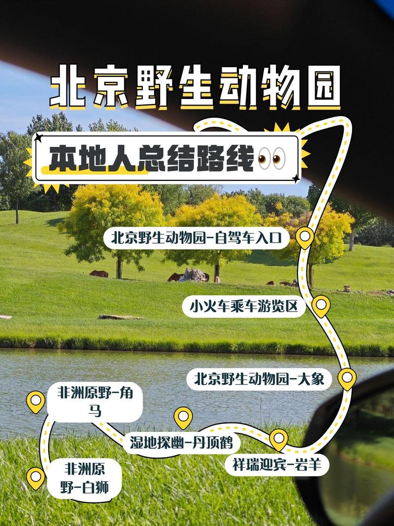 北京野生动物园自驾游怎么玩最省心？-第3张图片-星月文旅