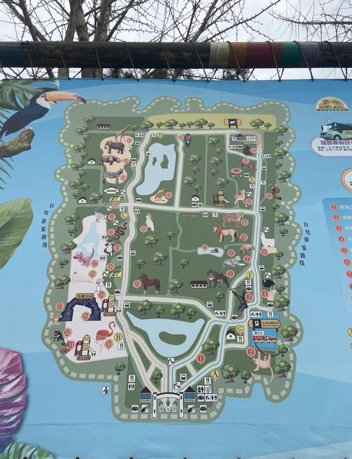 北京野生动物园自驾游怎么玩最省心？-第1张图片-星月文旅