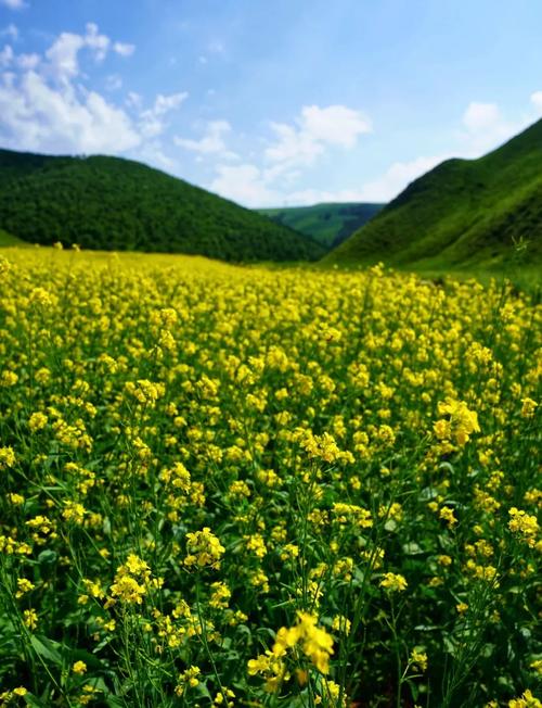 呼和浩特周边旅游景点一日游-第1张图片-星月文旅