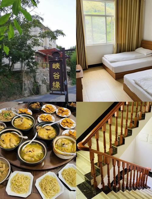 浙江自驾游农家乐哪里好玩-第2张图片-星月文旅