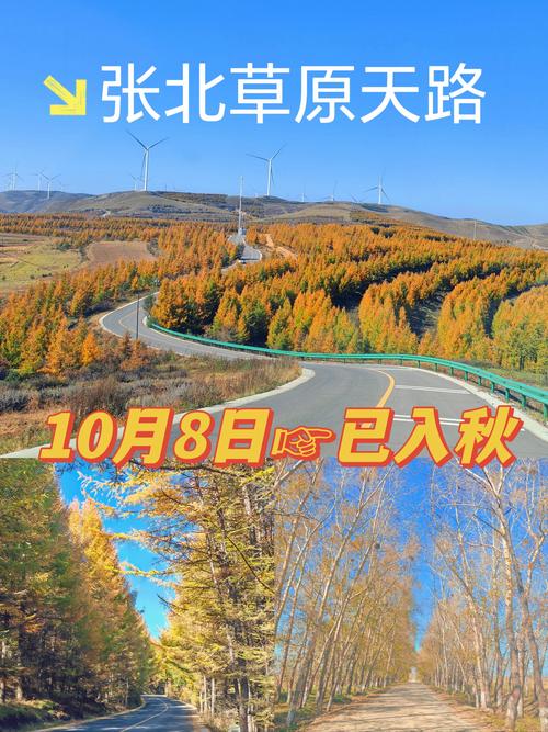 石家庄到张北草原自驾怎么玩？-第1张图片-星月文旅