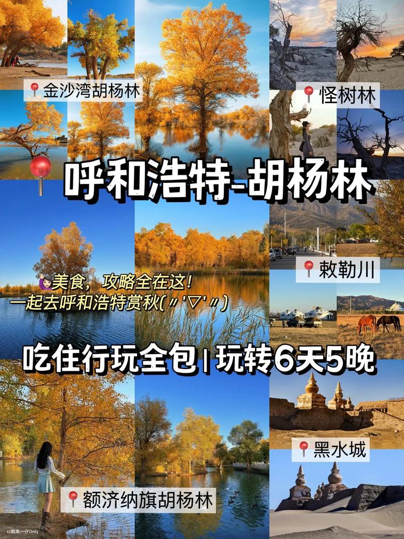 额济纳胡杨林怎么玩？攻略看这里！-第2张图片-星月文旅