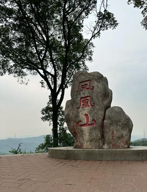 广州凤凰山景区怎么玩最省时省力？-第1张图片-星月文旅