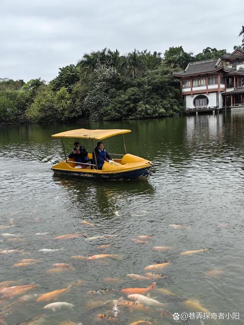 一日游有哪些好玩景点推荐？-第1张图片-星月文旅