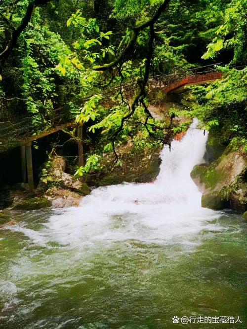 神农谷国家森林公园怎么玩最省心？-第2张图片-星月文旅