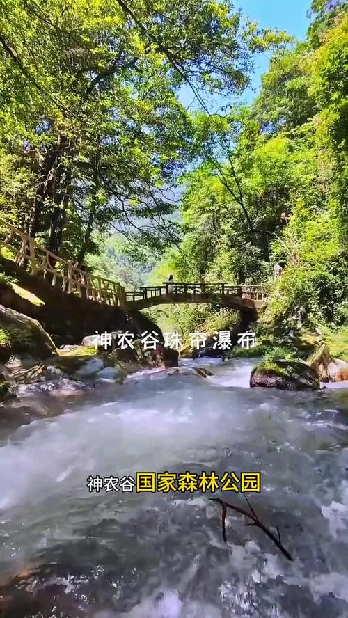 神农谷国家森林公园怎么玩最省心？-第3张图片-星月文旅