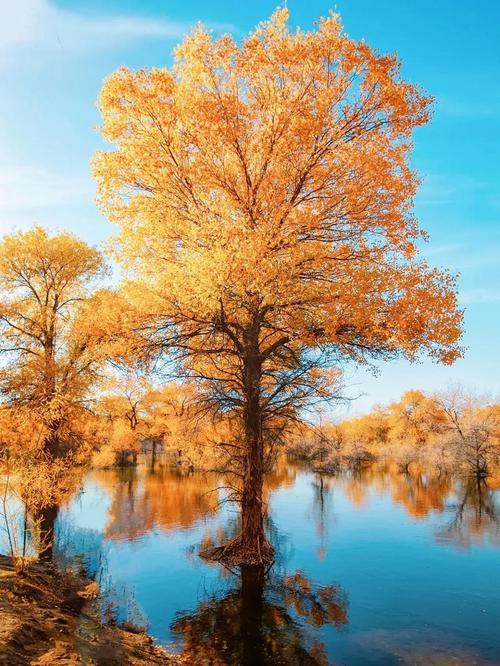 额济纳旗必玩景点有哪些？-第2张图片-星月文旅