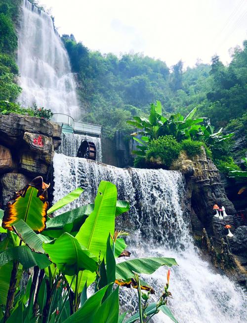 广州清远一日游景点怎么选？-第1张图片-星月文旅