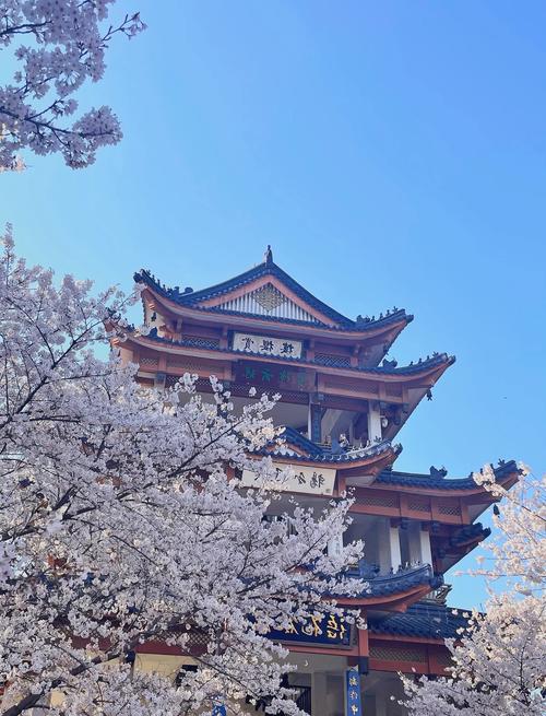 无锡周边一日游自驾，哪些景点值得去？-第1张图片-星月文旅