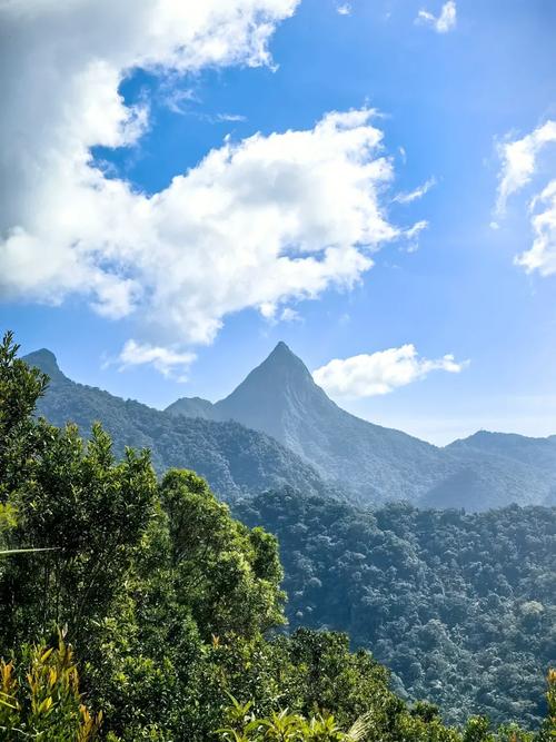 尖峰岭国家森林公园怎么玩最省心?-第1张图片-星月文旅 尖峰岭国家森林公园怎么玩最省心?-第1张图片-星月文旅