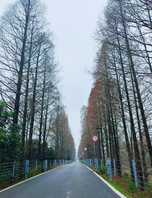 长沙县有哪些必打卡的宝藏景点？-第1张图片-星月文旅