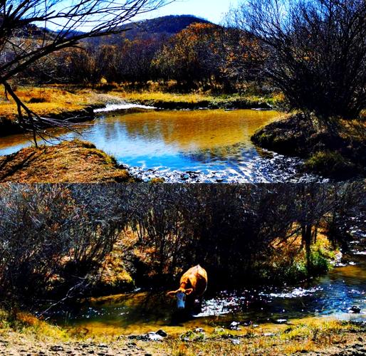 塞罕坝森林公园怎么玩?攻略必看景点有哪些?-第1张图片-星月文旅 塞罕坝森林公园怎么玩?攻略必看景点有哪些?-第1张图片-星月文旅