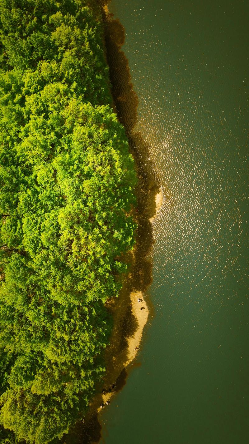 汉中自驾游去哪玩?周边这些地方别错过!-第3张图片-星月文旅 汉中自驾游去哪玩?周边这些地方别错过!-第3张图片-星月文旅