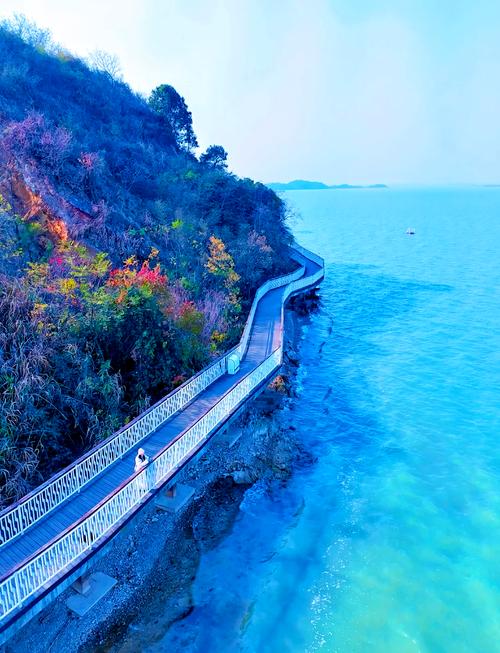 武汉周边300公里自驾游-第1张图片-星月文旅 武汉周边300公里自驾游-第1张图片-星月文旅