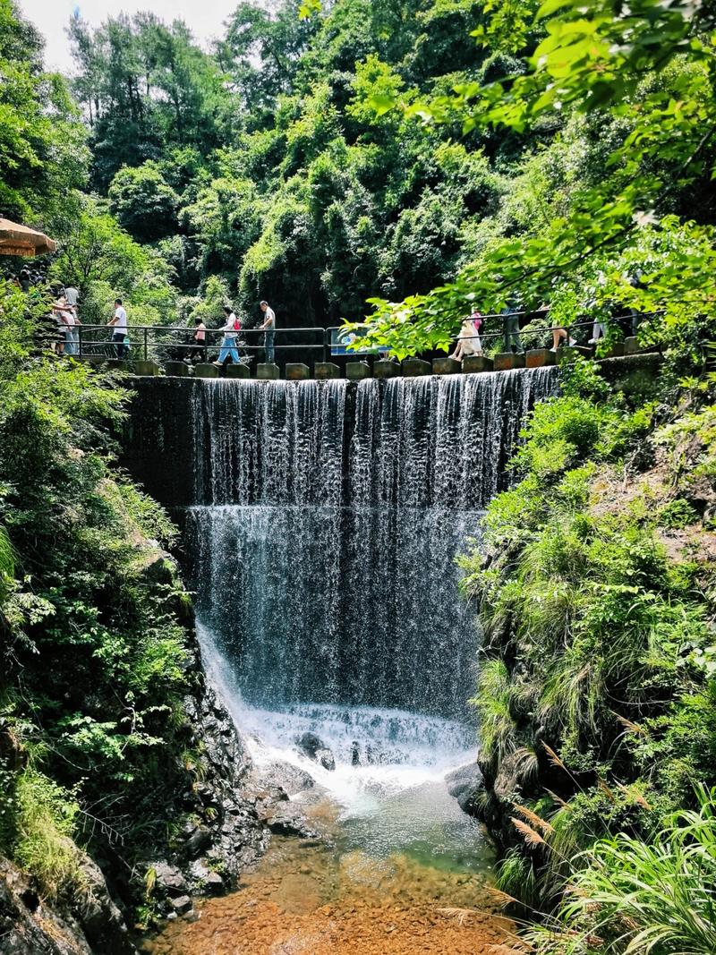 大奇山国家森林公园旅游攻略-第1张图片-星月文旅