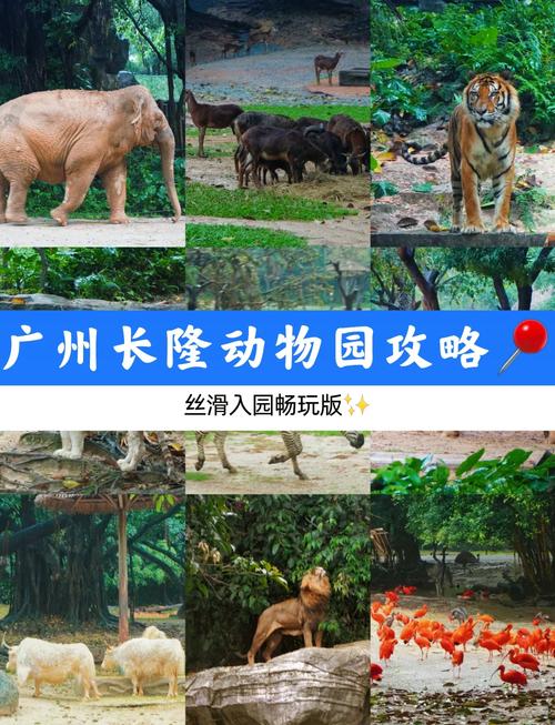 长隆野生动物园自驾游门票怎么买最划算？-第3张图片-星月文旅