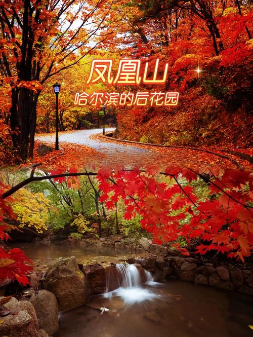 哈尔滨五常凤凰山旅游攻略-第1张图片-星月文旅