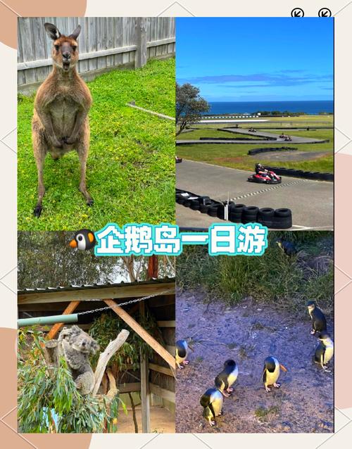 墨尔本必去景点有哪些？攻略怎么最省心？-第2张图片-星月文旅