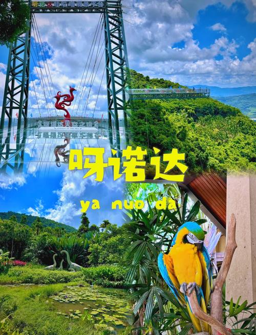 呀诺达雨林攻略，怎么玩最省时省力？-第1张图片-星月文旅