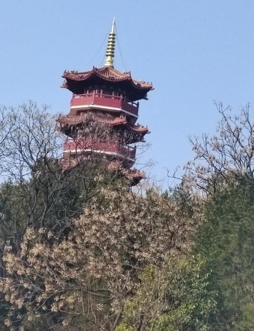 徐州云龙山风景区怎么玩最省心?-第1张图片-星月文旅 徐州云龙山风景区怎么玩最省心?-第1张图片-星月文旅