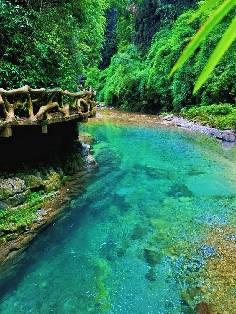 贵州毕节必游景点有哪些？-第2张图片-星月文旅