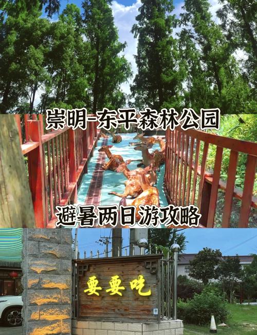 东平国家森林公园旅游攻略-第1张图片-星月文旅 东平国家森林公园旅游攻略-第1张图片-星月文旅