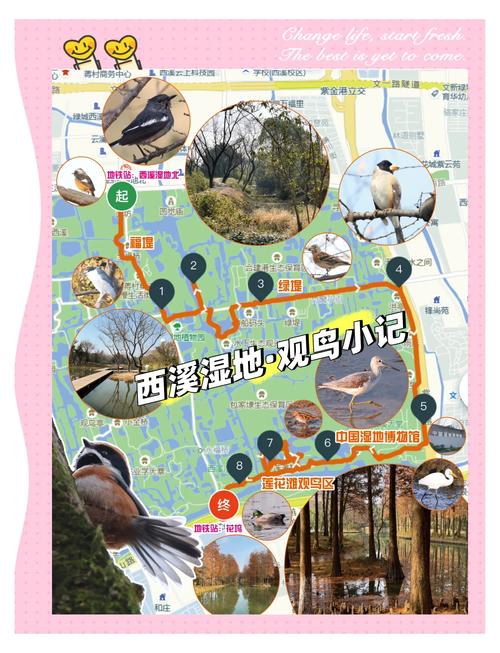 西溪湿地旅游攻略免费开放-第3张图片-星月文旅
